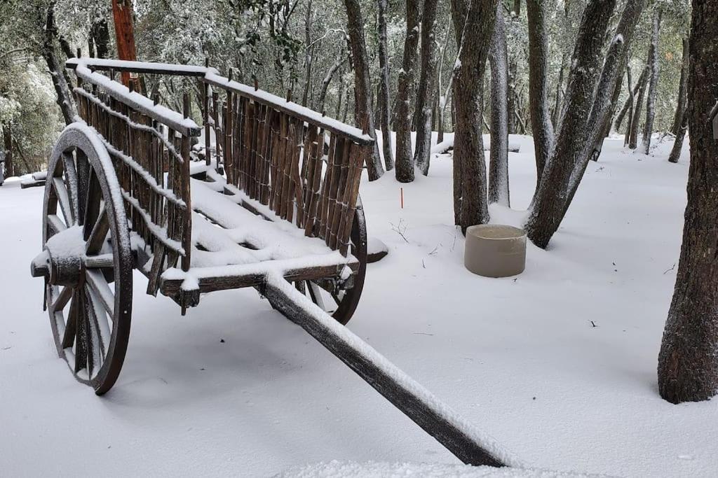 Pine Hills Cabin In Julian Dış mekan fotoğraf