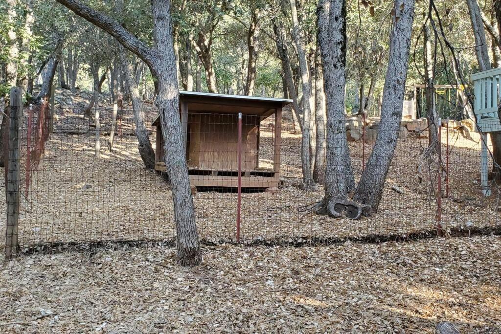 Pine Hills Cabin In Julian Dış mekan fotoğraf