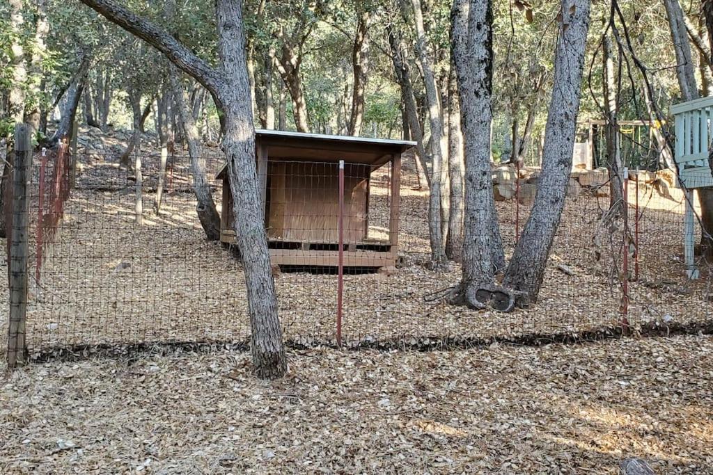 Pine Hills Cabin In Julian Dış mekan fotoğraf